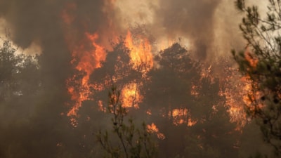 4 ilde orman yangını: Müdahaleler sürüyor