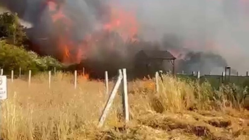 İzmir’de tarım arazisindeki yangında 8 ev zarar gördü