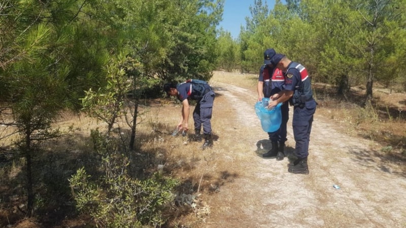 Aydın'da ormanlık alanlarda denetimler artırıldı