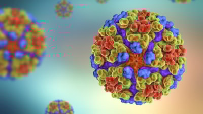 Koronavirüs gibi geliyor: 119 ülkede görüldü! Türkiye de riskli...