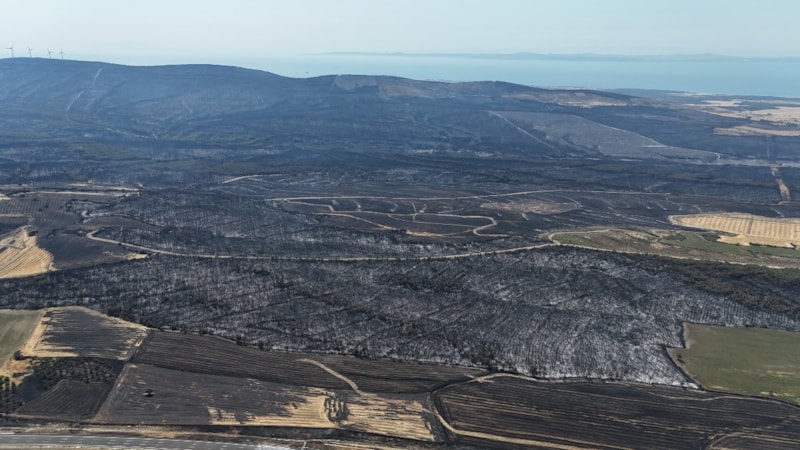 Çanakkale'deki orman yangınında 119 futbol sahası büyüklüğünde alan yandı