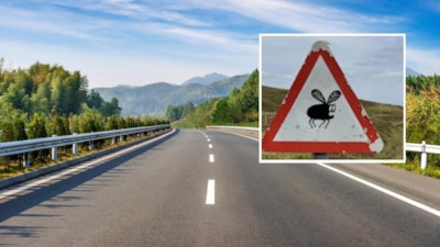 Yurt dışında yeni trafik levhası sürücüleri şaşırttı: İşte anlamı