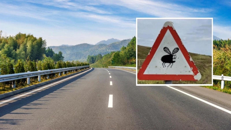 Yurt dışında yeni trafik levhası sürücüleri şaşırttı: İşte anlamı