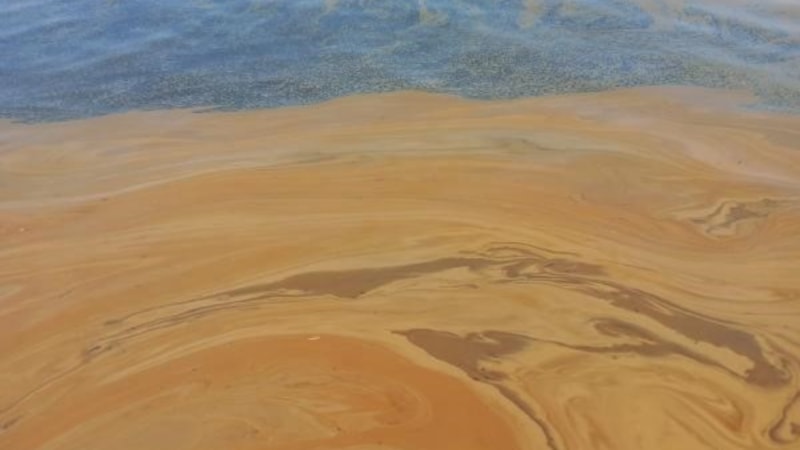 Yalova’da denize atık yağ döküldü: Fabrika hakkında inceleme başlatıldı