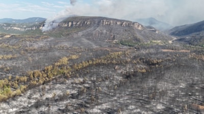 Karabük'te yanan alanlar havadan görüntülendi