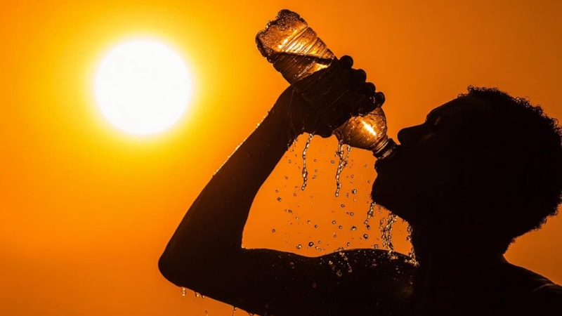 Türkiye'yi etkisi altına alan Afrika sıcakları bunaltıyor