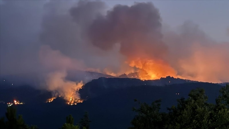 Uzmanlardan hayati uyarılar: 'Alev kırbacı' yangın felaketini büyüttü