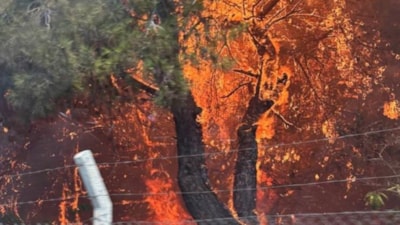 Antalya'da yangınla mücadele: Alevler Bülent Ersoy'un villasına sıçradı