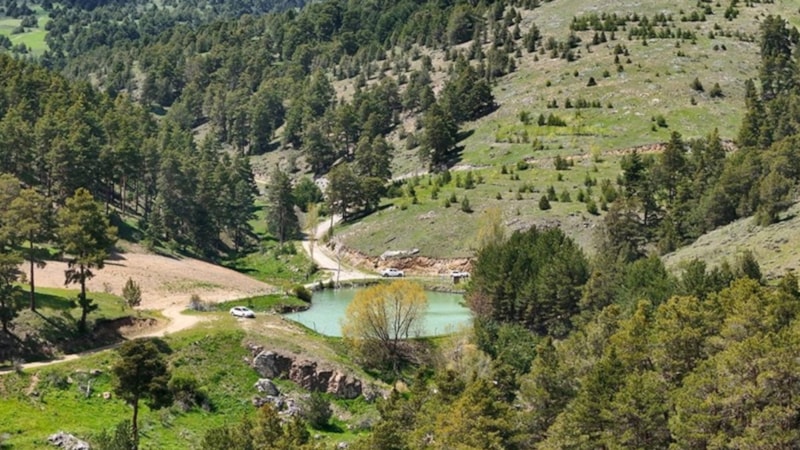 Yozgat’ta ormanlık alanlara giriş yasaklandı