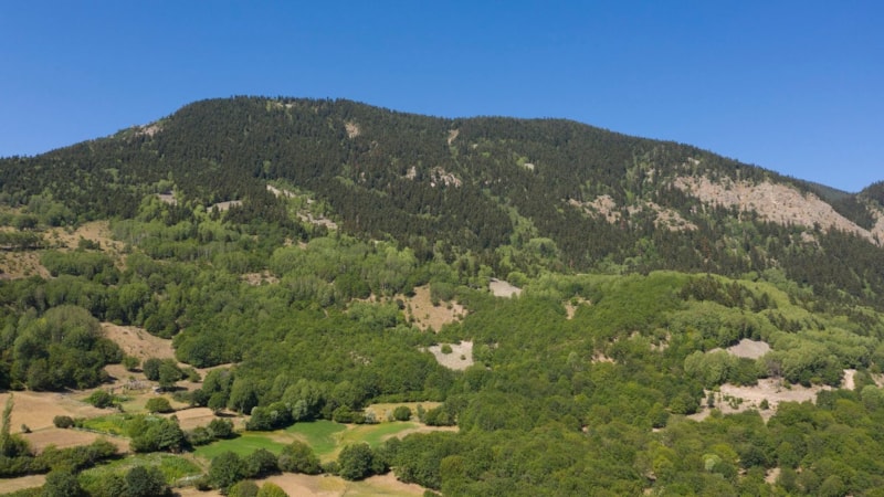 Bazı illerde ormanlara giriş yasağı