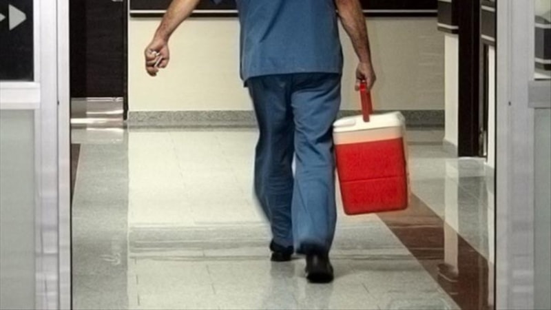 e-Devlet ve e-Nabız üzerinden organ bağışçısı olunabilecek