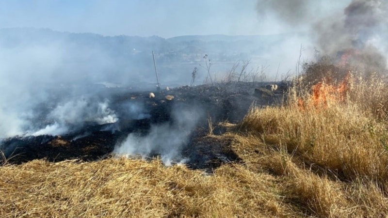 Sinop'ta anız yangını: 60 balya saman hasar gördü
