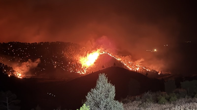 Orman yangınlarının yüzde 90'ı insan kaynaklı