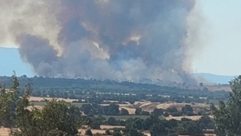 Bulgaristan-Türkiye sınırında yangın