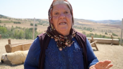 Kırıkkale'de 210 hayvan telef oldu: 63 yaşındaki kadın gözyaşlarına hakim olamadı