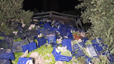 Bursa'da kamyon devrildi: 10 ton biber etrafa dağıldı