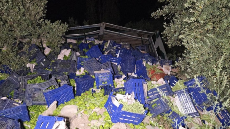 Bursa'da kamyon devrildi: 10 ton biber etrafa dağıldı