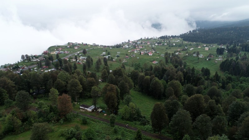Sıcaktan bunalan vatandaşlar tercihlerini Karadeniz’in yaylalarından yana kullanıyor