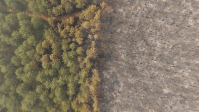 Bursa'daki orman yangını 4. gününde sürerken, yanan alanlar havadan görüntülendi