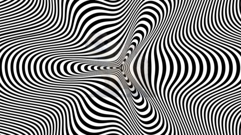 İllüzyon testi: 5 saniyeniz var! Hipnotize olmadan gizli hayvanı bulun...