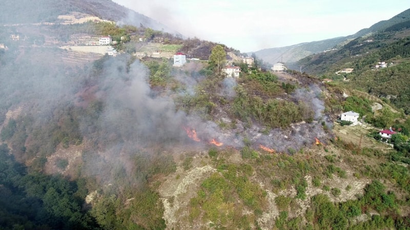Yılın ilk 7 ayında toplam 4 bin 426 yangının çıktığı açıklandı