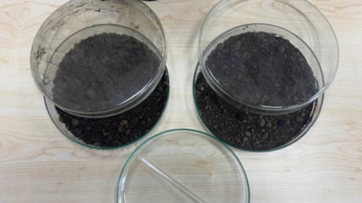 Türk akademisyenlerden 'toprağı temizleyen bakteri' projesi