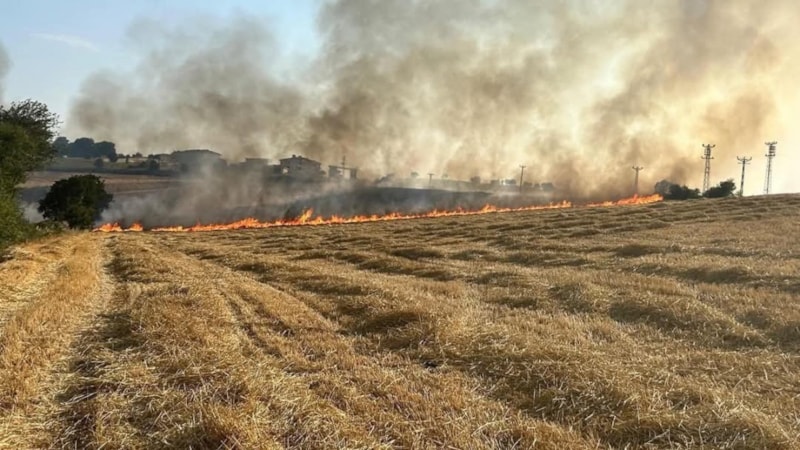 Samsun'da anız yangını çıktı