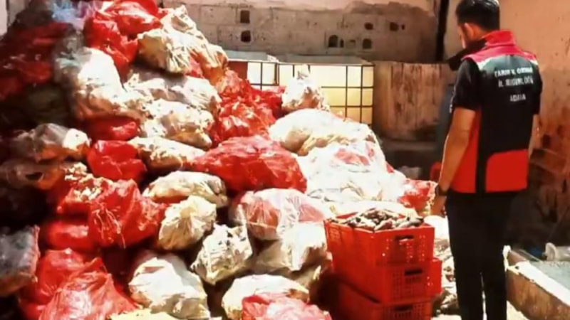 Adana'da binlerce kilo paça ele geçirildi