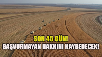 Tapu sahipleri dikkat: 45 gün süre verildi! Bakanlık izin almadan kiraya verebilecek