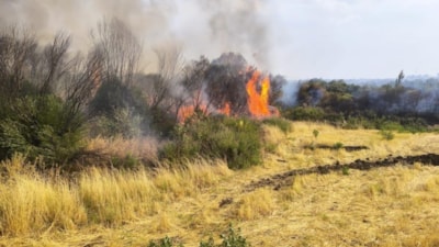 Diyarbakır’da ormanlık alana sıçrayan yangın söndürüldü