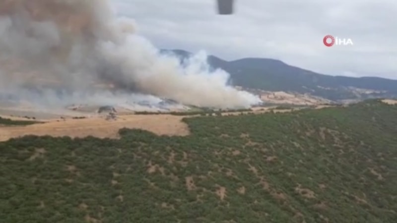 Bursa'da ormanlık alanda yangın çıktı