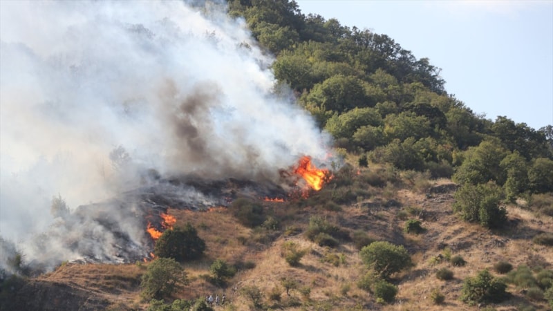 Tekirdağ'ın Şarköy ilçesinde yangın