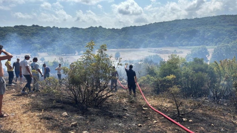 Kırklareli'de çıkan orman yangını söndürüldü