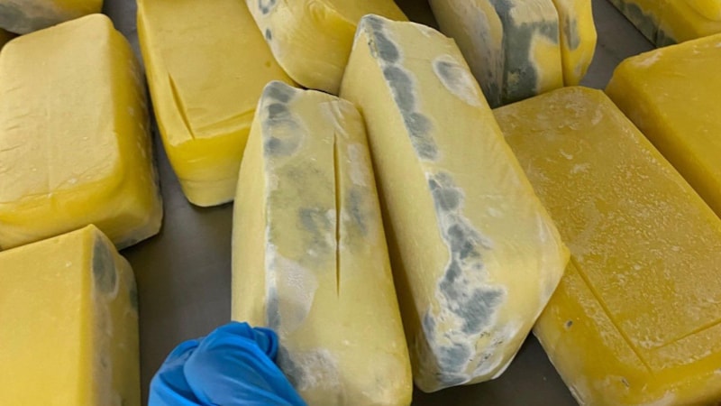 Sakarya'da 1,5 ton küflenmiş ve bozulmuş süt ürünü ele geçirildi