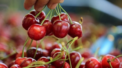 İstanbul'da kiraz pahalılığı