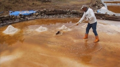 Sivas'ta çıkartılan 'altın tuz'u ünlü şefler tercih ediyor