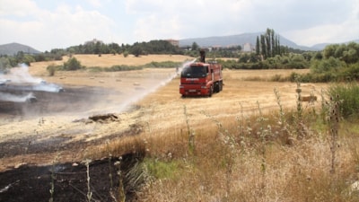 Konya, Beyşehir'de tarlada çıkan yangın söndürüldü