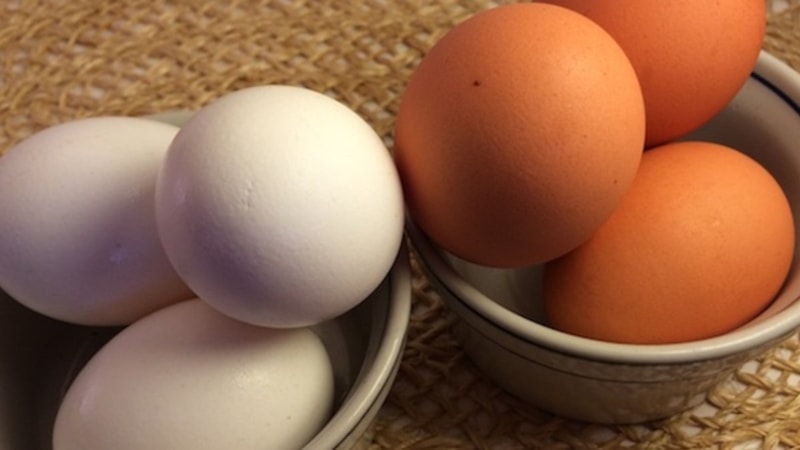 Kahverengi mi beyaz mı? Hangi yumurta daha sağlıklı?