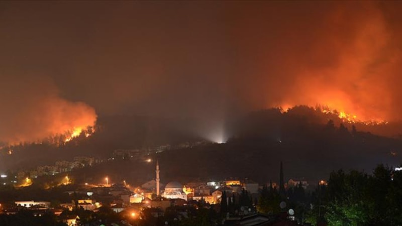 Yanan 3 bin hektar ormanın dönüşümü için 100 yıl gerekli