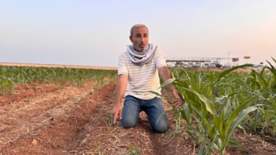 Şanlıurfa'da mısır tohumları arasındaki fark çiftçiyi kızdırdı: Hakkımı arayacağım