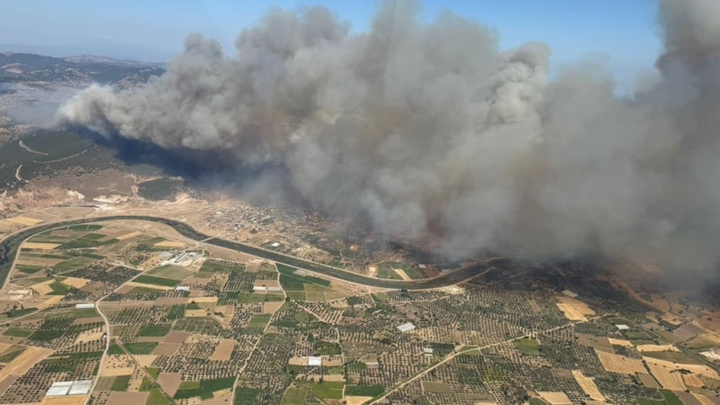 Çanakkale'de 4 köyün etkilendiği orman yangınını çıkaranlar belli oldu