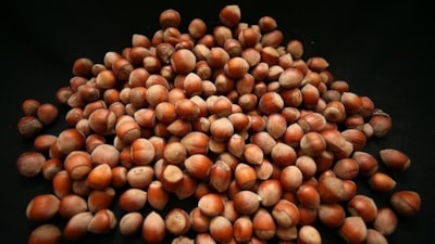 Fındık ihracatından 7 ayda 1,3 milyar dolar