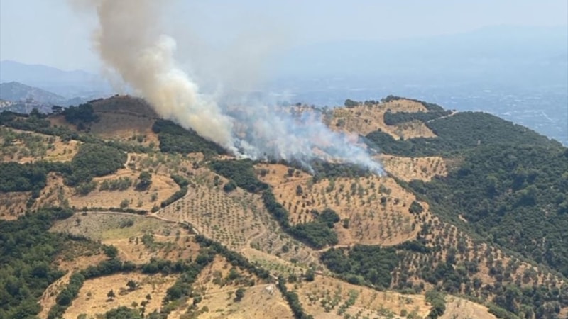 Aydın'da ziraat alanında yangın