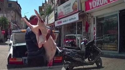 Adana'da hijyen kurallarına uymadan otomobil bagajında et taşıdılar