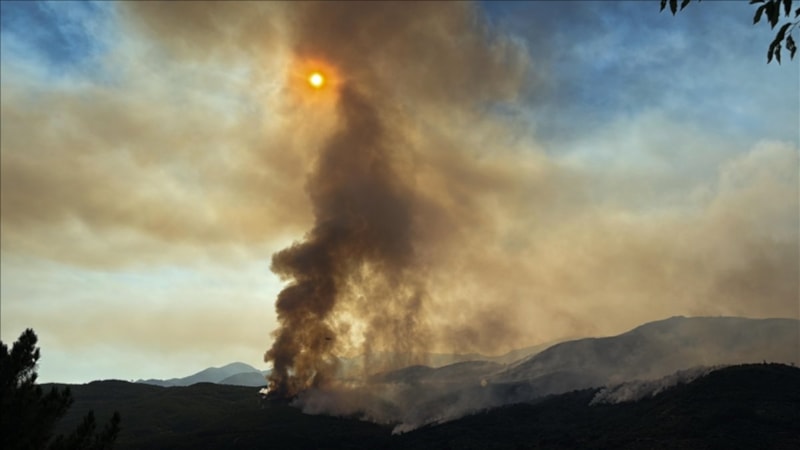 İspanya'nın güneyinde yangınlar sürüyor: 1500'den fazla kişi tahliye edildi