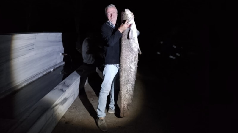 Bursa'da barajda oltasına takıldı: Tam 40 kilo ağırlığında