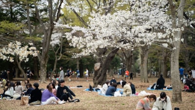 Dünya'da en çok ziyaret edilen 6 şehir