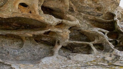 Aydın'da 8 bin yıllık keşif: Resimli kaya 'sit alanı' ilan edildi