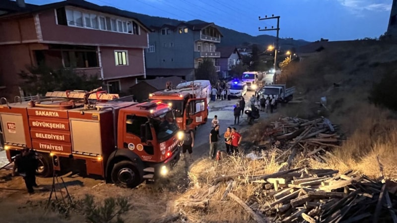 Sakarya’da elektrik direğinde yaşanan patlama yangına sebep oldu