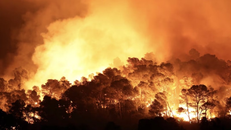 Fransa'da 16 bin hektarı küle çeviren yangın henüz kontrol altına alınamadı